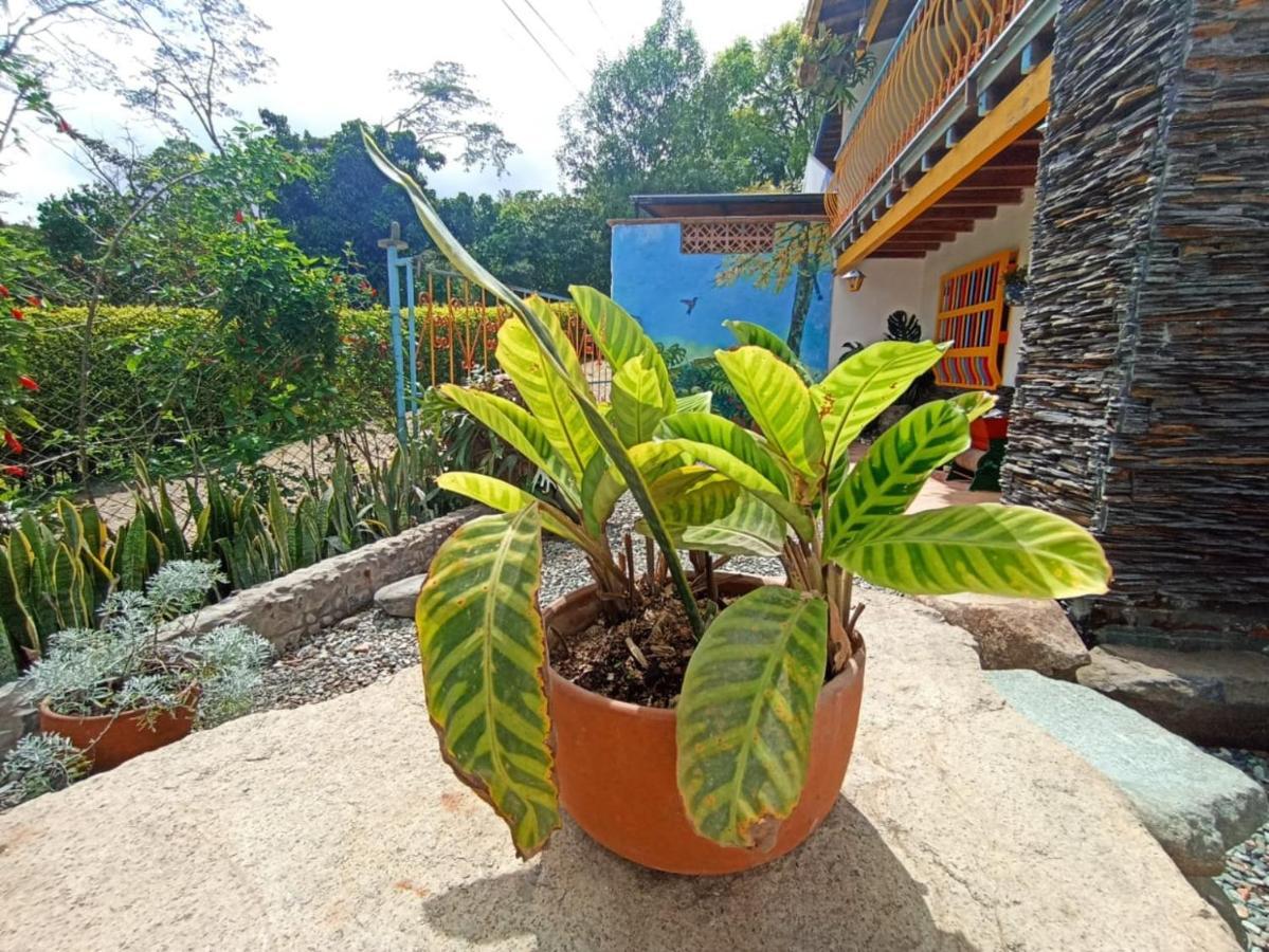 Casa De Las Rocas Hostel คาร์ดิน ภายนอก รูปภาพ